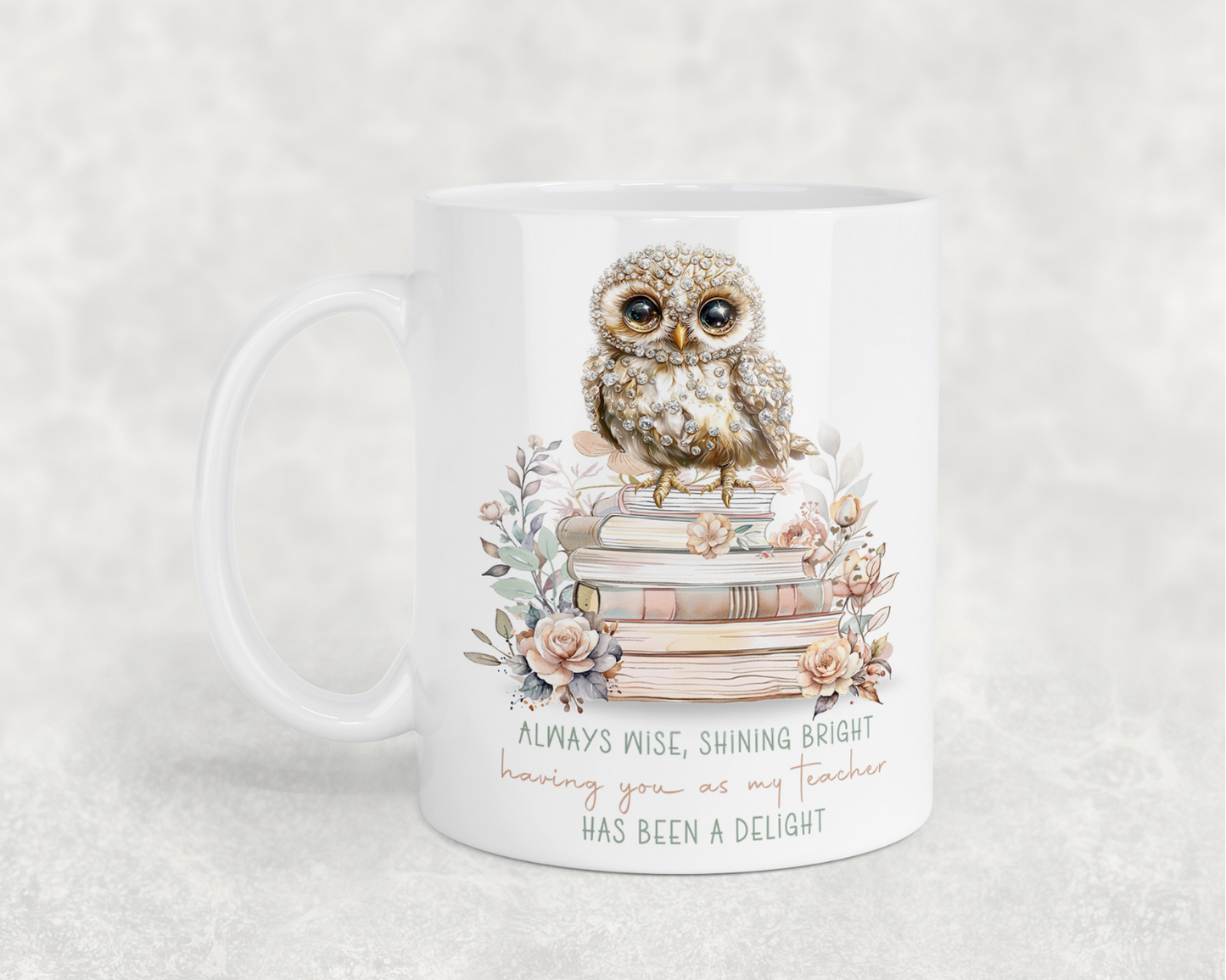 Owl Teacher Appreciation Mug