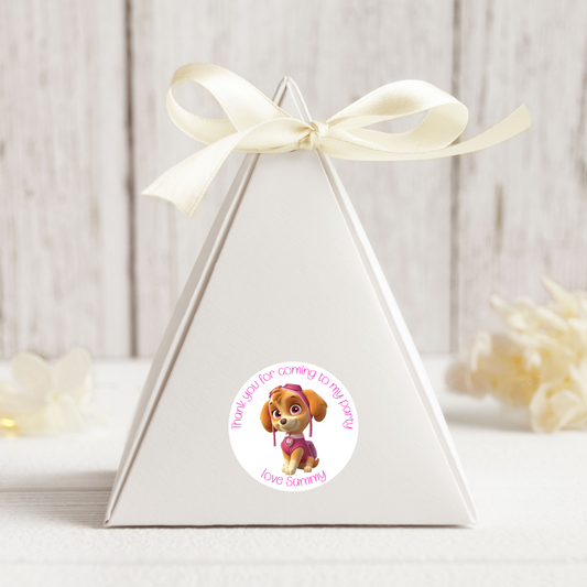 24 X Skye Paw Patrol Thank You For Coming To My Party Stickers